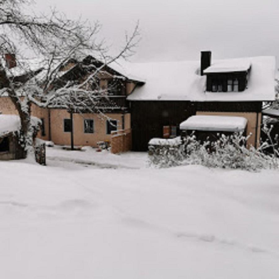 Ferienwohnung zum Forsthaus mit Wellnessbereich und Hallenbad Oberviechtach Exterior foto